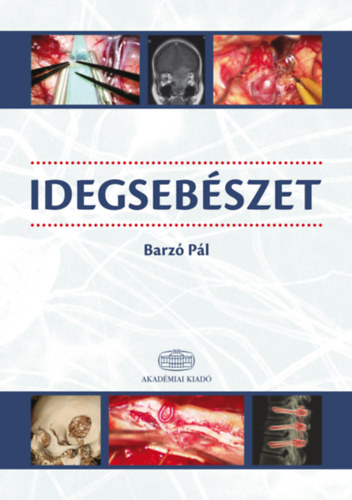 Idegsebszet