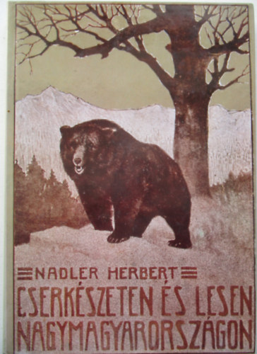Cserkszeten s lesen Nagymagyarorszgon