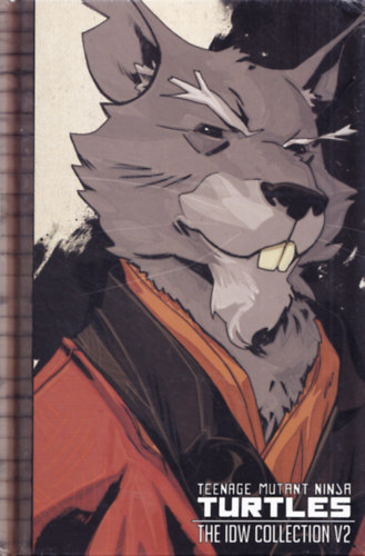 Teenage Mutant Ninja Turtles - The IDW Collection V2