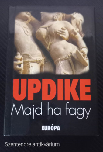 John Updike - Majd ha fagy (FORDT Gy. Horvth Lszl) - (Sajt kppel, Szent. antikv.)