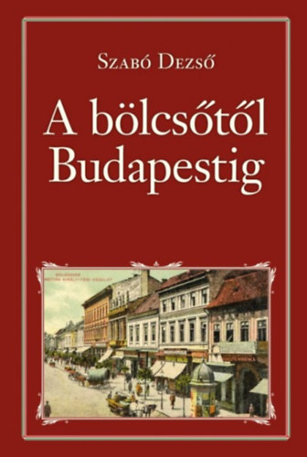 Szab Dezs - A blcstl Budapestig