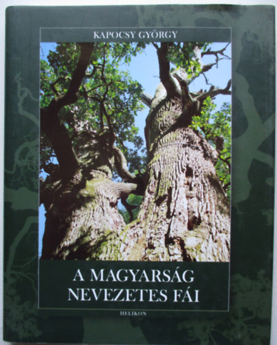 A magyarsg nevezetes fi