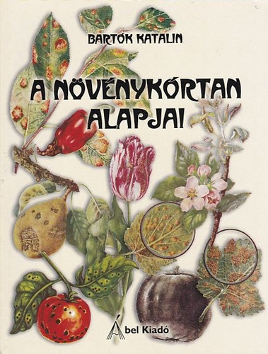 A nvnykrtan alapjai