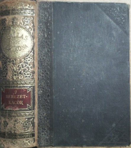 A Pallas nagy lexikona IX. (Hehezet-Kacor)