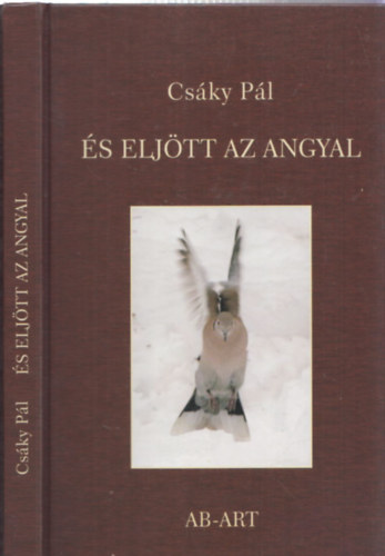 Csky Pl - s eljtt az angyal