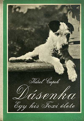 Dásenka (Egy kis foxi élete)