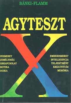 Agyteszt X