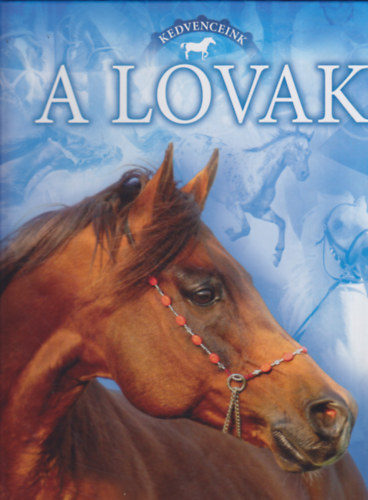 Bagoly Ilona  (szerk.) - Kedvenceink a lovak