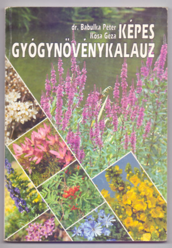 Kpes gygynvnykalauz (Sznes fotkkal)
