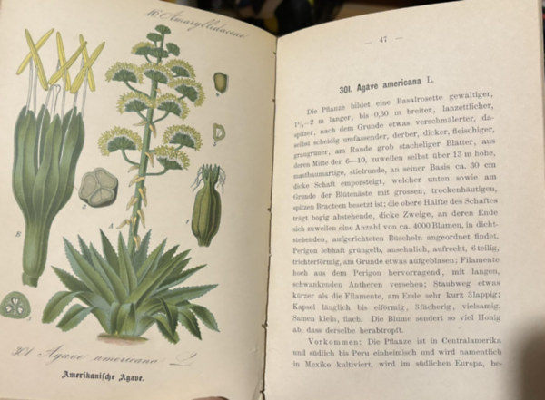 Flora von Deutschland (Vierzehnter Band.15-20.)