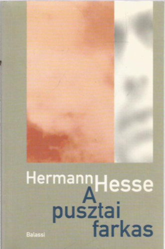 Hermann Hesse - A pusztai farkas