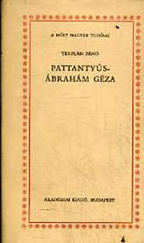 Terpl�n Z�n� - Pattanty�s-�brah�m G�za