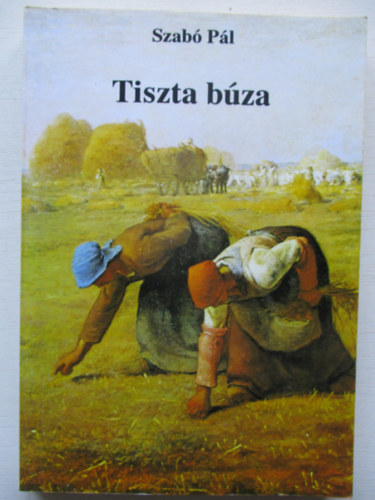 Tiszta b�za
