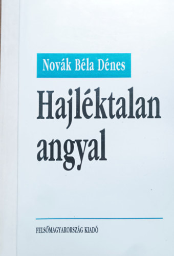 Hajlktalan angyal