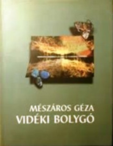 Vidki bolyg