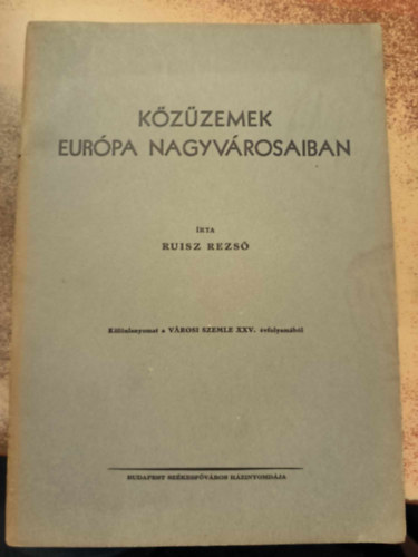 Ruisz Rezs - Kzzemek Eurpa nagyvrosaiban