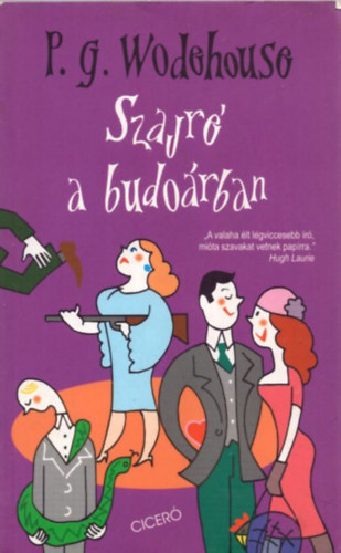 Szajr a budorban