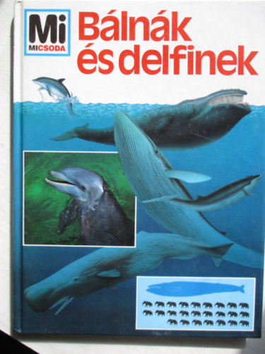 Blnk s delfinek (Mi micsoda)