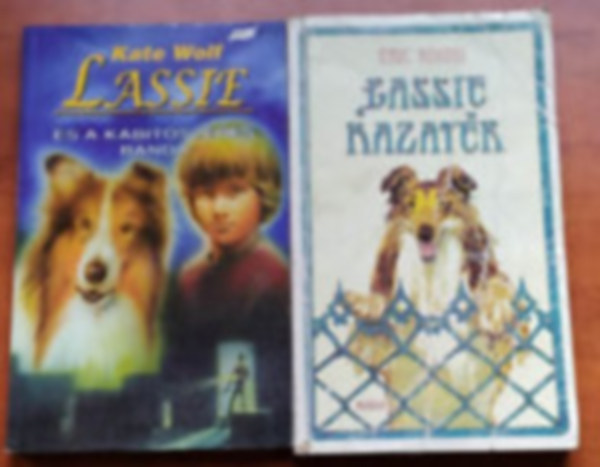 Lassie k�nyvek (2db.): Lassie �s a k�b�t�szeres banda + Lassie hazat�r