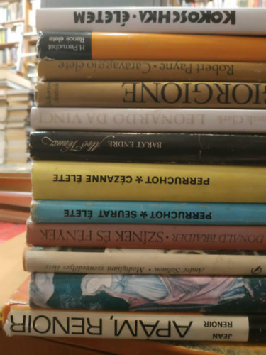 12 db festészet: Giorgione; Caravaggio élete; Renoir élete; Életem; Apám, Renoir; Primavera; Modigliani szenvedélyes élete; Színek és fények; Seurat élete; Cézanne élete; Alvó Vénusz; Leonardo Da Vinci