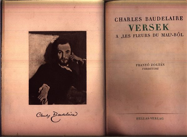 Charles Baudelaire - Versek a "Les fleurs du mal"-bl