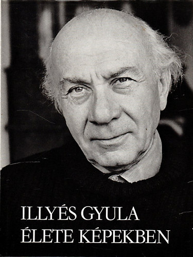 Illys Gyula lete kpekben