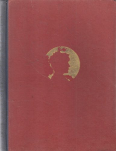 John Galsworthy - Der kleine Jon