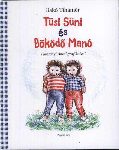 T�si S�ni �s B�k�d� Man�