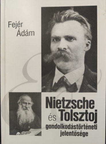 Nietzsche s Tolsztoj