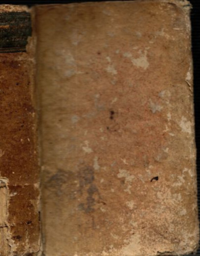 Institutio Interpretis novi Testamenti