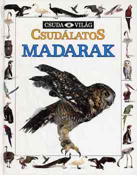 Csudálatos madarak (Csuda Világ)