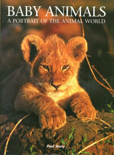 Baby Animals - A Portrait of the Animal World