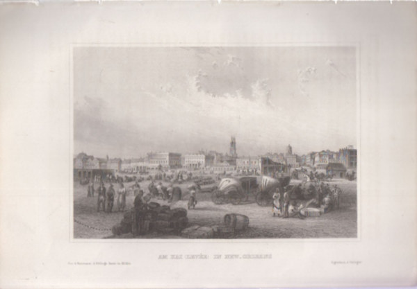 Am Kai (Leve) in New Orleans (New Orleans, Luisiana, Usa, szak-Amerika) (16x23,5 cm mret eredeti aclmetszet, 1856-bl)