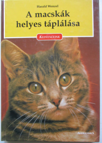 A macskk helyes tpllsa