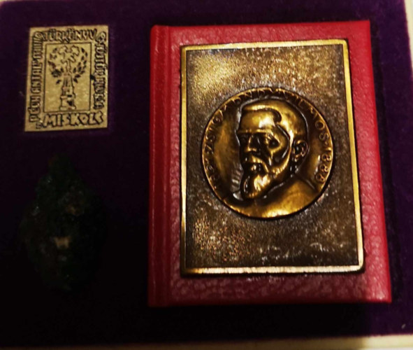 B�ny�szatt�rt�net Zsigmondy Vilmos