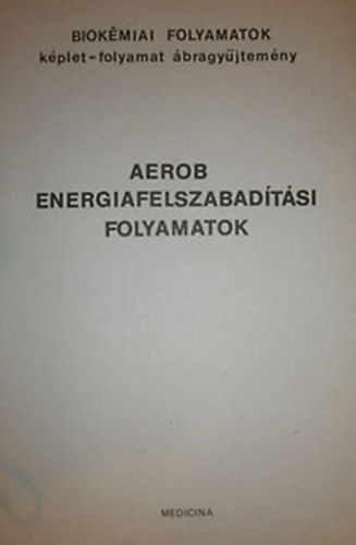 Aerob energiafelszabadtsi folyamatok