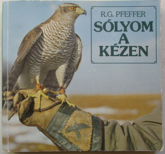 Slyom a kzen