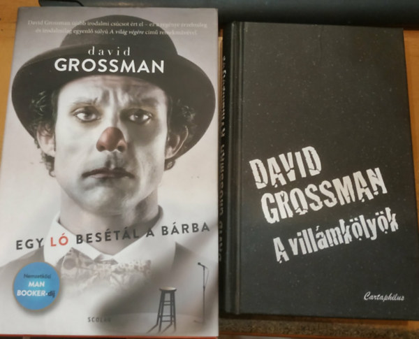 2 db David Grossman: A vill�mk�ly�k + Egy l� bes�t�l a b�rba