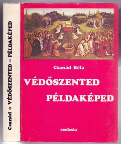 Csand Bla - Vdszented - pldakped (125 szent rvid letrajza s trtnete - II. kiads)