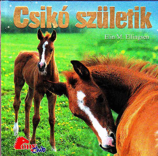 Elin Meldahl Ellingsen - Csik szletik (Pony Club)