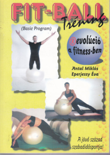 Fit-ball trning (Basic program)
