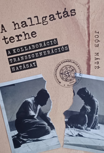 Job Mt - A hallgats terhe - A kollaborci transzgenercis hatsai