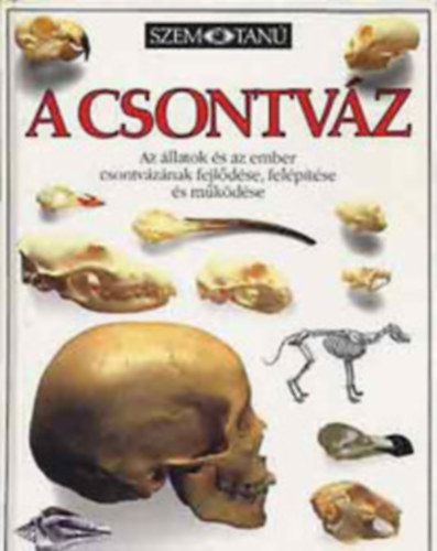 2 db Szemtan: A csontvz + Az kori Egyiptom