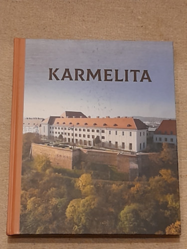 Hajd� Vir�g Hal�sz Csilla Dr Papp Adrienn Sulyok Mikl�s Dr Viczi�n Istv�n - Karmelita A kolostor �s templom t�rt�nete