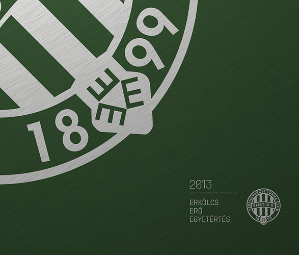 FTC �vk�nyv 2013