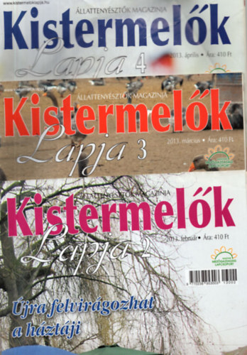 Bagi Orsolya - Kistermelk Lapja 2013. 57. vf. ( 10 szm egytt, 1 s 5. szmok hinyoznak )