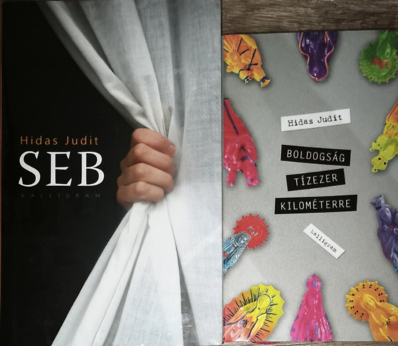 2db Hidas Judit m� - Seb, Boldogs�g t�zezer kilom�terre