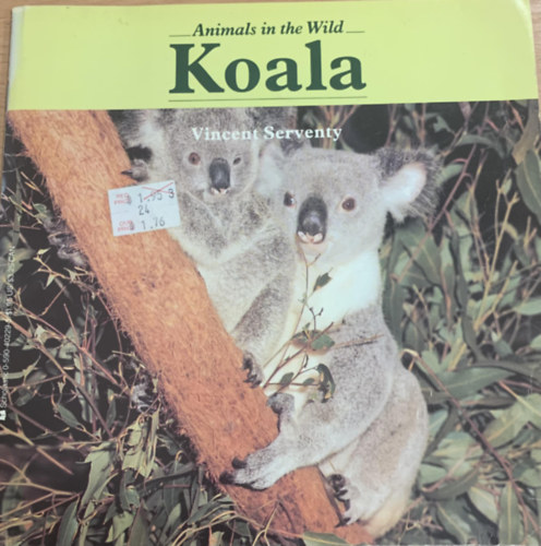 Animals in the Wild: Koala