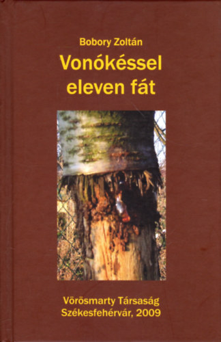 Vonkssel eleven ft