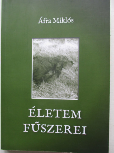 letem fszerei